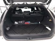Lexus RX350 F-Sport Фото № 18 из 20