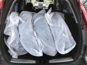 Honda CR-V Фото № 8 из 16