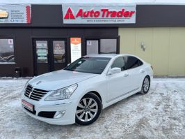 Equus 3.8