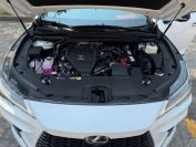 Lexus RX350 F Sport 3 Фото № 12 из 35