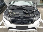 Land Rover Range Rover Evoque Фото № 7 из 14