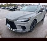 RX500h F Performance 3