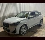 X1 xDrive25Li
