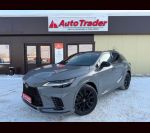 RX500h F Performance +