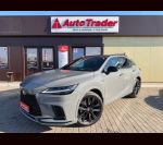 RX500h F Performance +